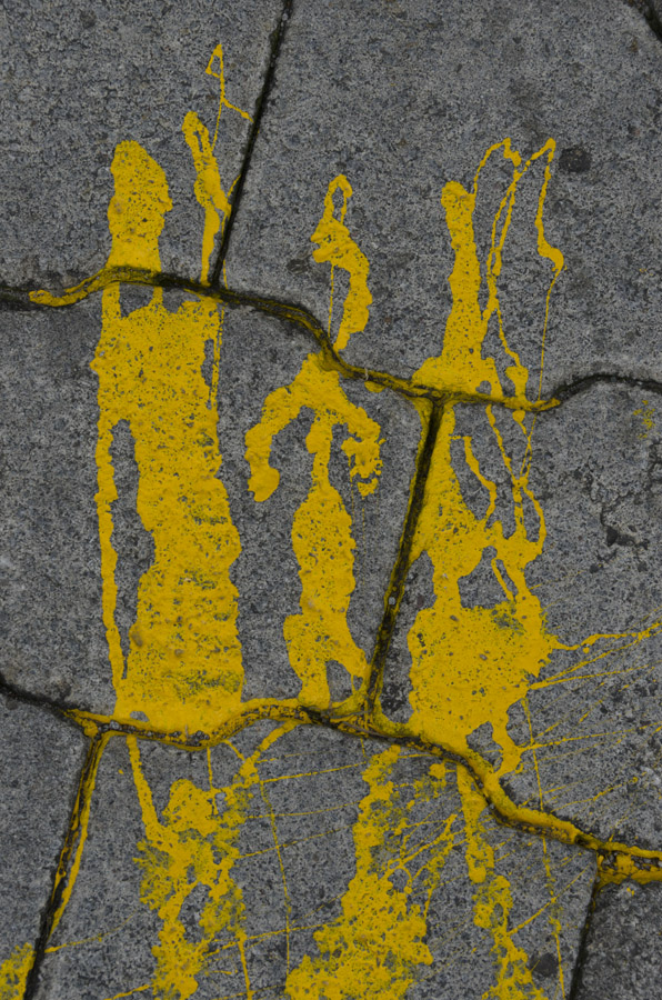 Photosintesis Estructural 19