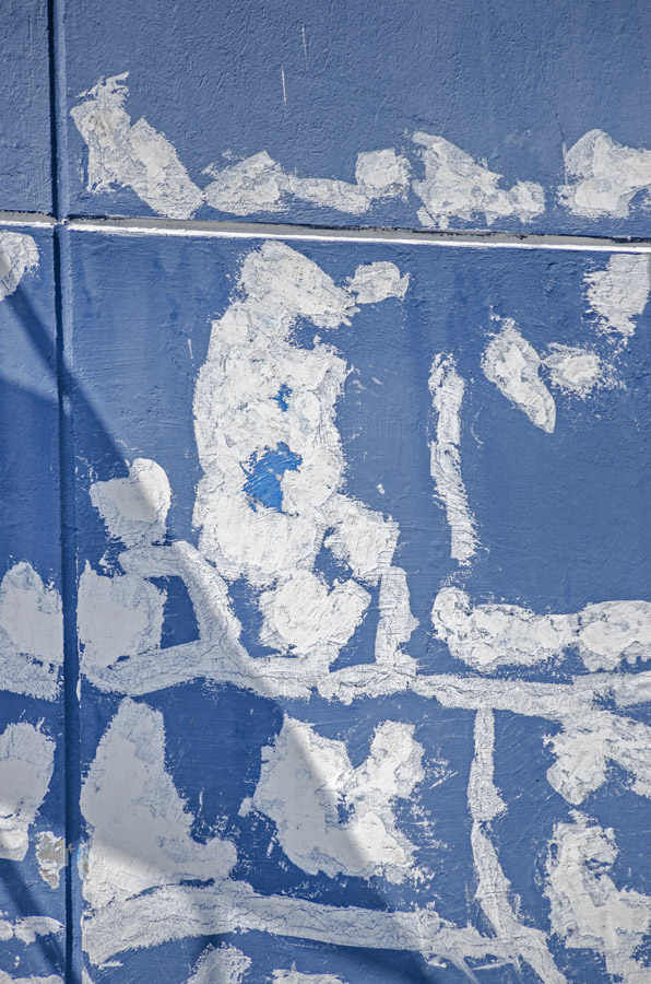 Photosintesis Estructural 12