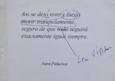 Poesia de Sara Palacios