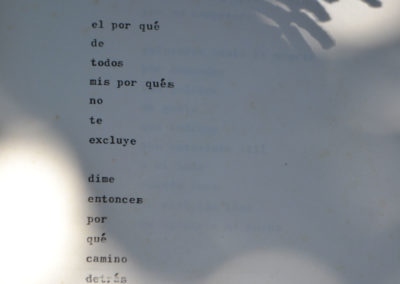 Poesia de Sara Palacios