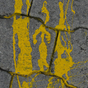 Photosintesis Estructural 19