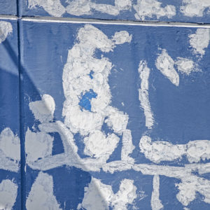 Photosintesis Estructural 12