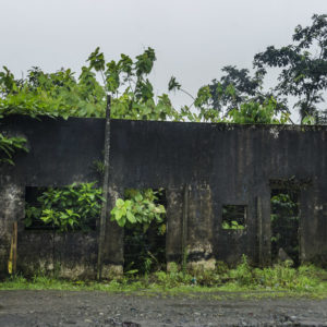 Photosintesis Estructural 15