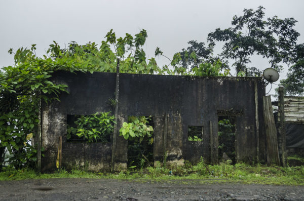 Photosintesis Estructural 15