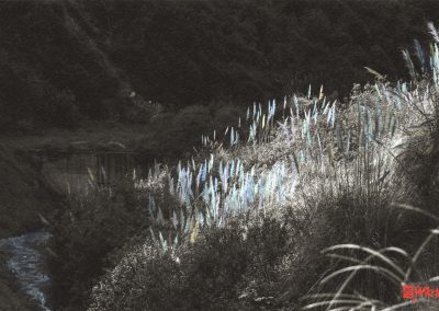 SAMAYUIO, ESPÍRITU DEL RÍO DE QUITO