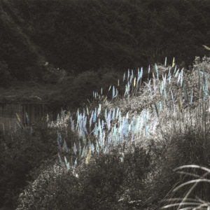 Espíritu de quebrada (emerger)
