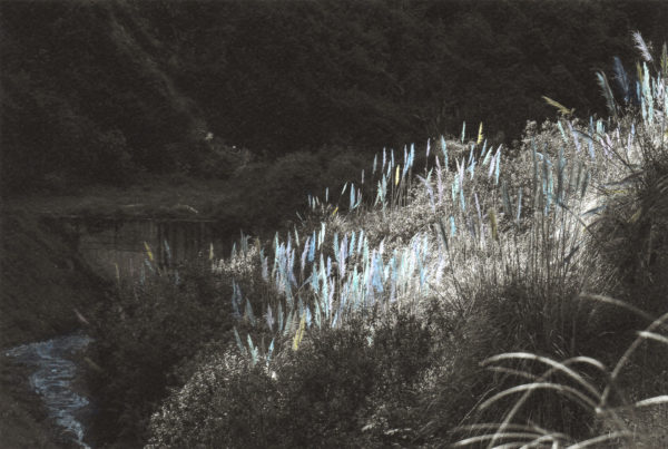 Espíritu de quebrada (emerger)