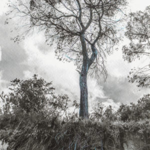 Árbol canal (Kundalini)