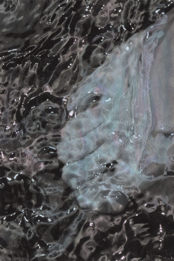 Pie cósmico (raíz de agua)