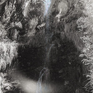 Portal quitu-cara