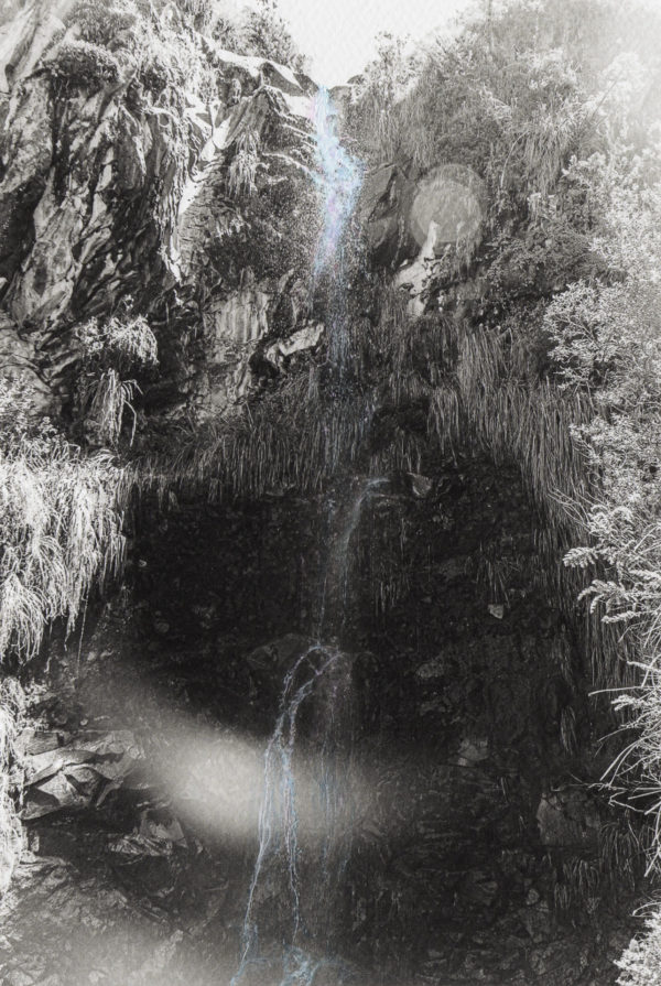 Portal quitu-cara